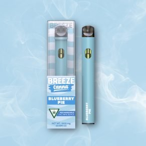 Blueberry Pie Classic Vape